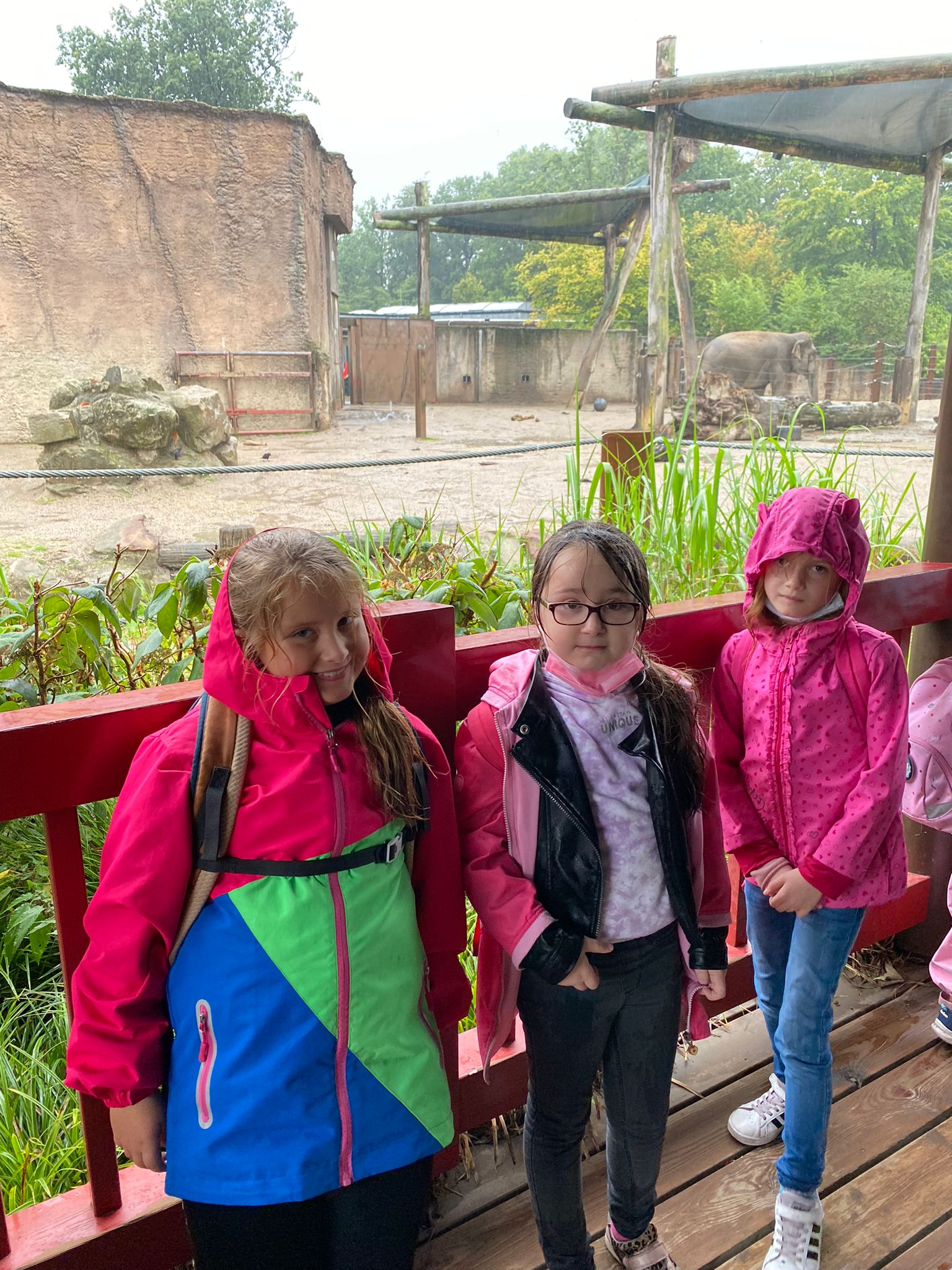 galerie zoobesuch Zoobesuch Sept. 2021 (7)